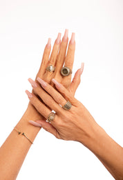 Tammy's Color Of The Year 2025 Entire Collection Bundle