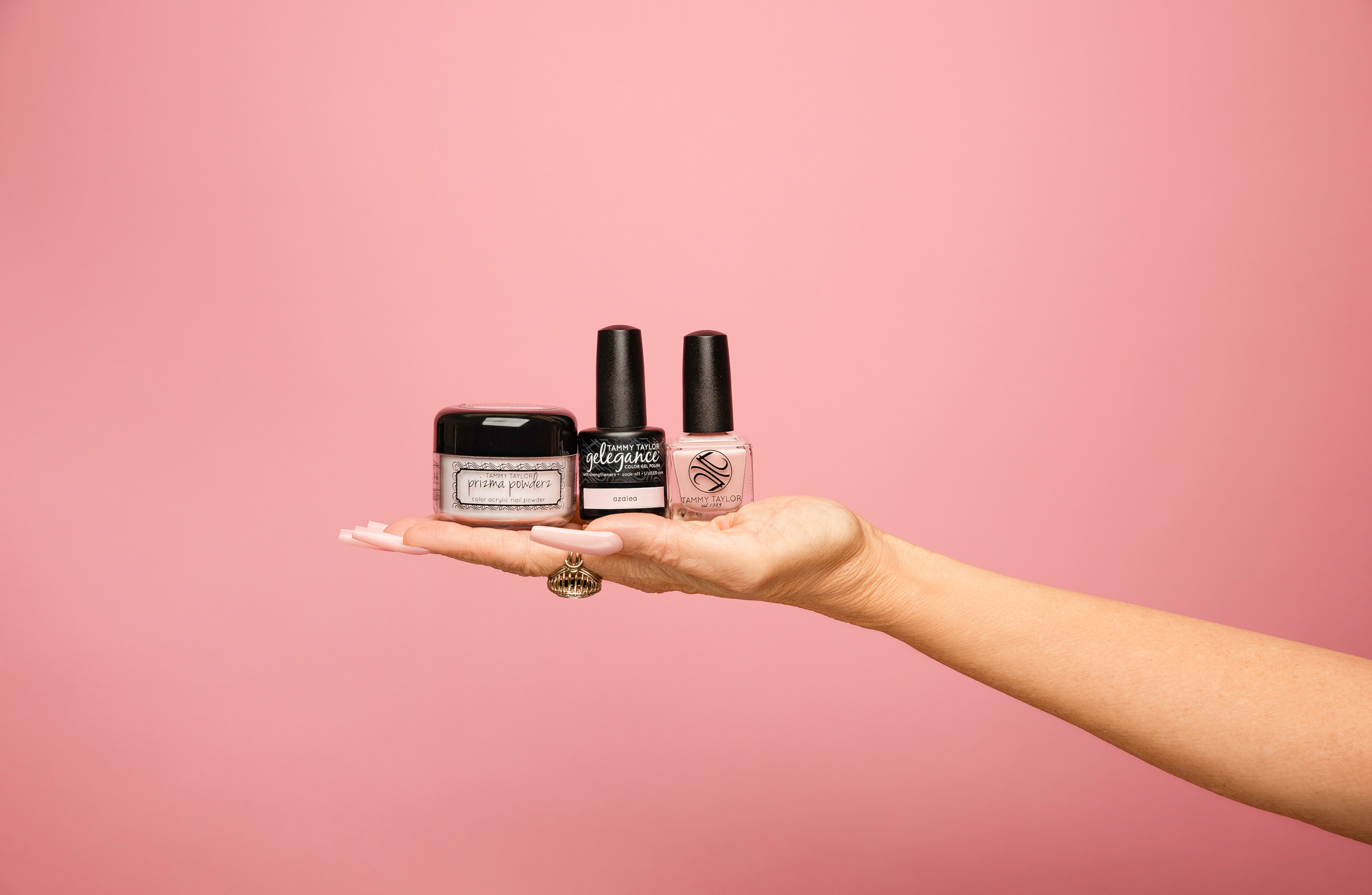 Azalea Entire Collection Bundle