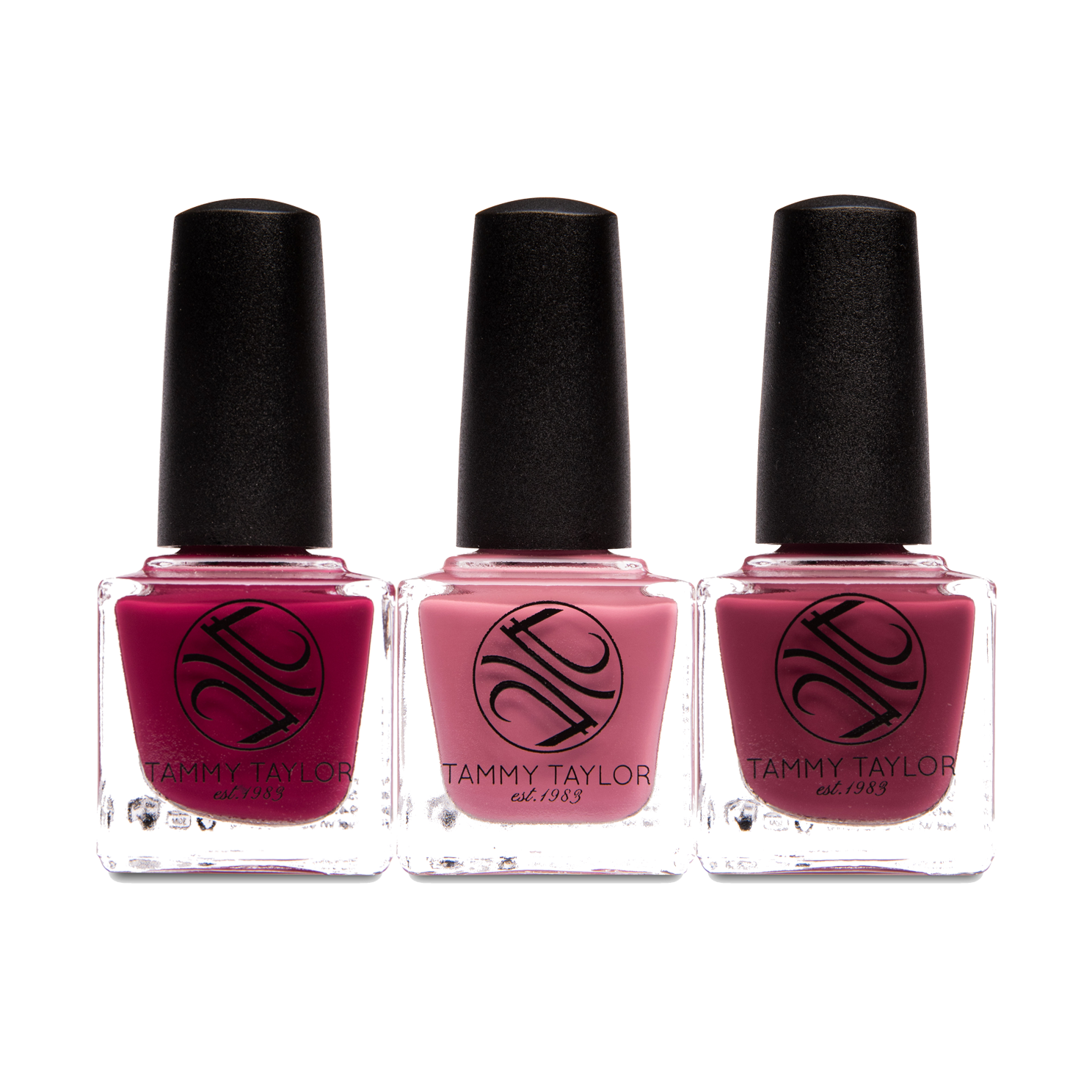 Princess Valentine ENTIRE Collection Bundle