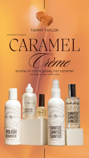 BRAND NEW! Caramel Crème Entire Bundle