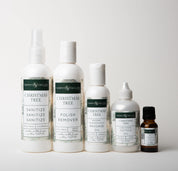 Christmas Tree ENTIRE Bundle