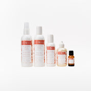 Pumpkin Spice Latte Fragrance ENTIRE Bundle