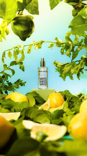 Lemon Verbena Bundle
