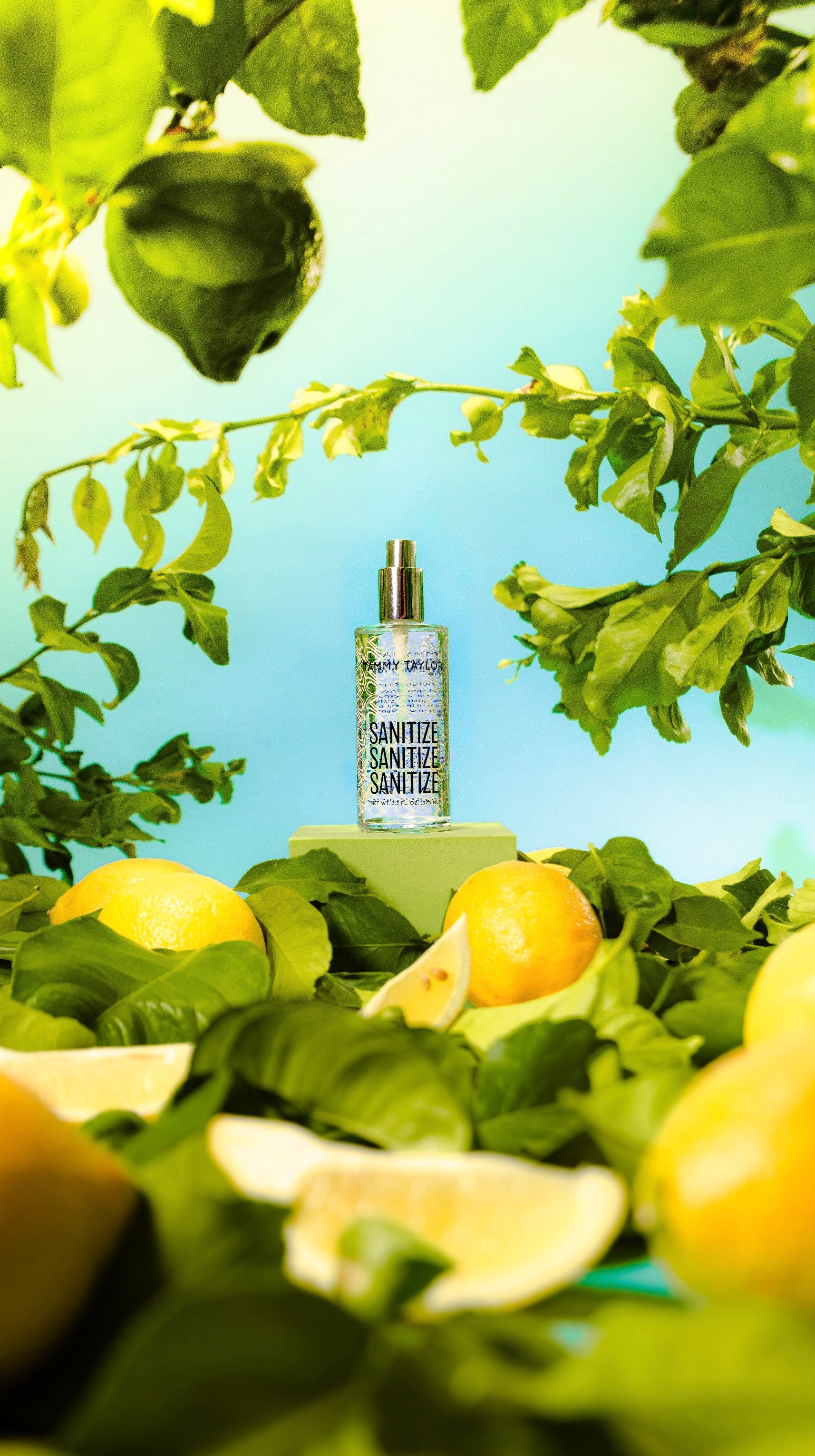 Lemon Verbena Glass Spray Sanitize
