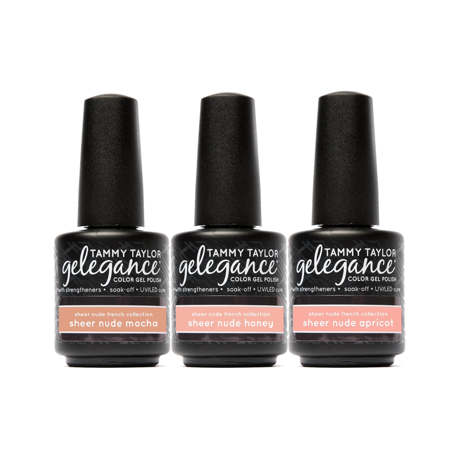 Sheer Nude French Entire Collection Bundle