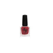 Christmas Year Round Nail Lacquer