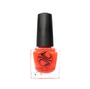 Saturday In The Park Nail Lacquer