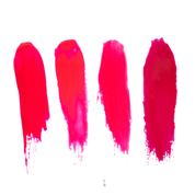 All You Need Is Red ENTIRE Collection Bundle