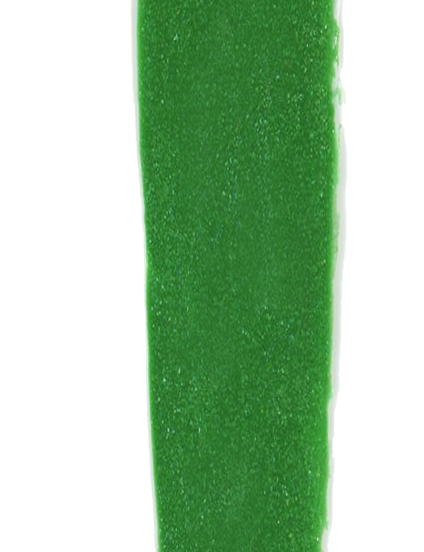 cuddlyasacactus_30296fee-70d1-4708-92ed-bc64911761d3.png