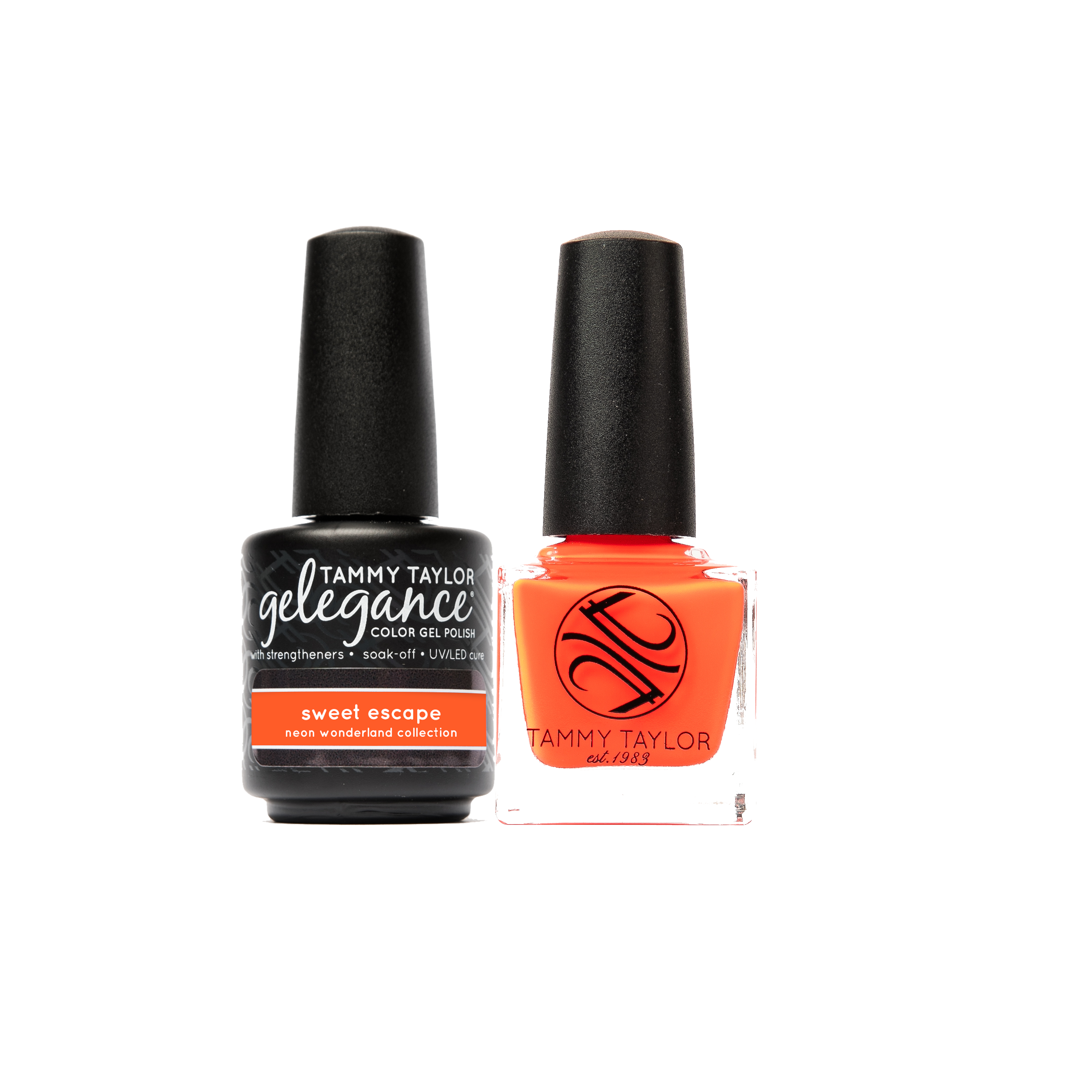orange_52ad641b-2f45-4fed-b9bd-734e30f4d0f3.png