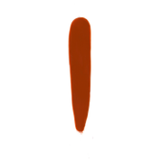Pumpkin Chai Nail Lacquer