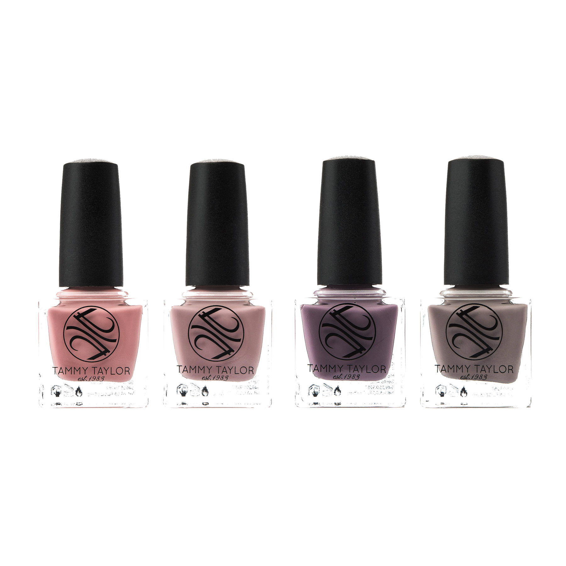 Restoration Chic ENTIRE Collection Bundle