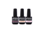 Simple Sophistication ENTIRE Collection Bundle
