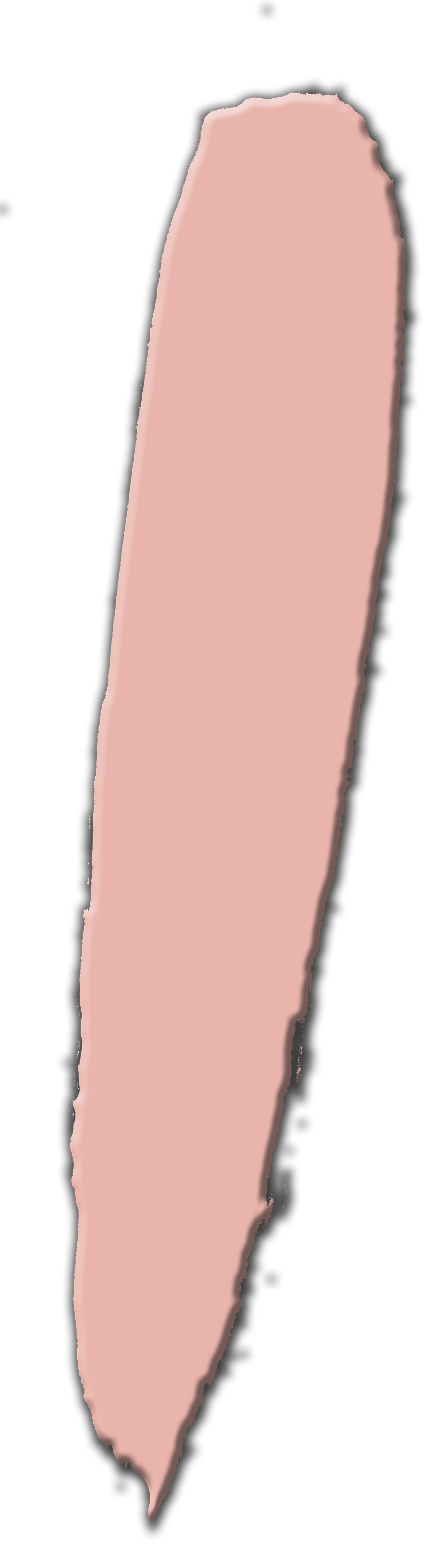 Velvet Slippers Nail Lacquer